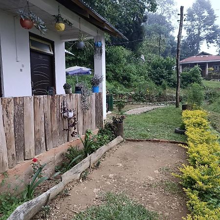 Little Cub Homestay Kalimpong Εξωτερικό φωτογραφία